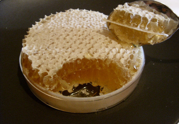 Acacia Honeycomb قرص العسل أكاسيا