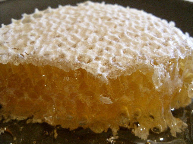 Acacia Honeycomb قرص العسل أكاسيا