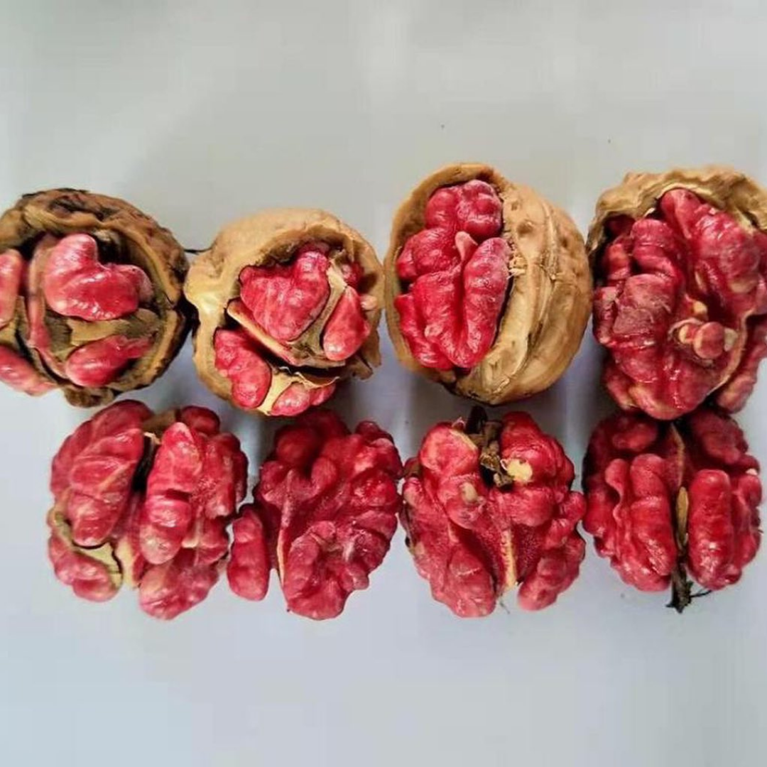 Red Walnuts  الجوز الأحمر